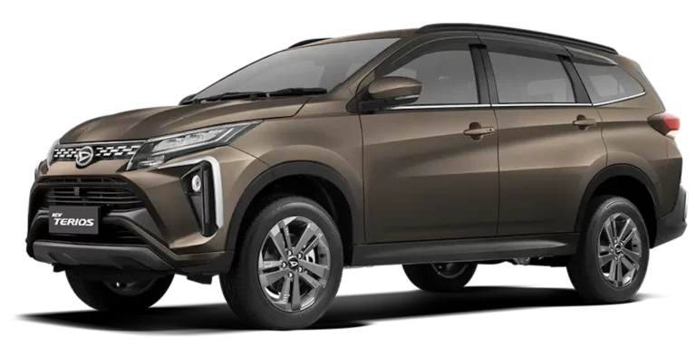 Terios Bronze Metallic